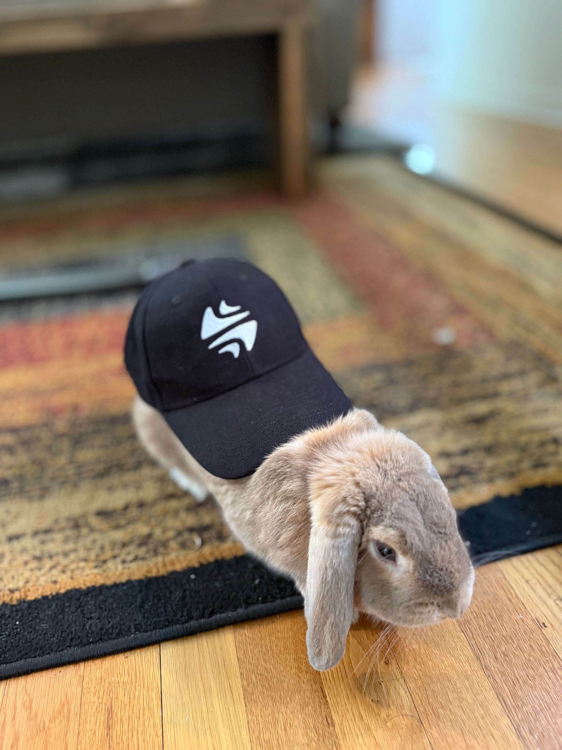 Hiyllo Baseball Cap